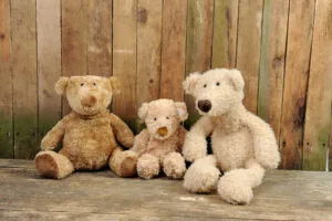 Old Antique Teddy Bears on Shelf