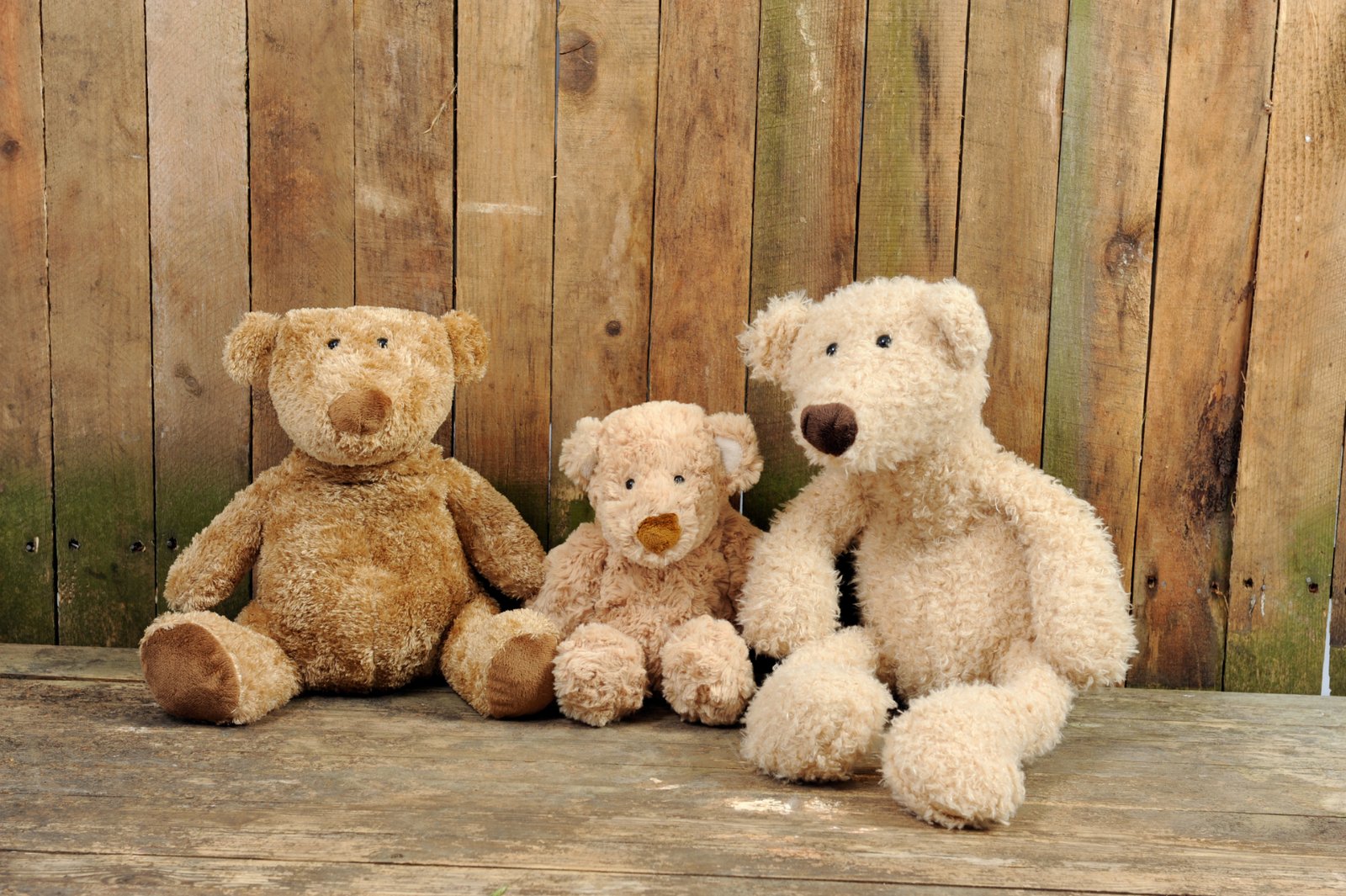 collectible valuable teddy bears