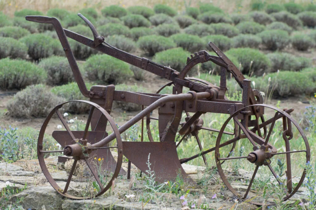 Antique Oak wood Plow