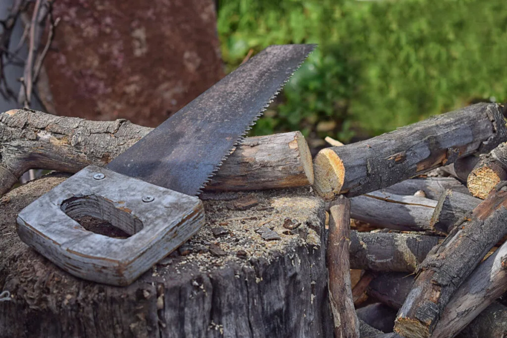 Old Crosscut saw from the 1850s