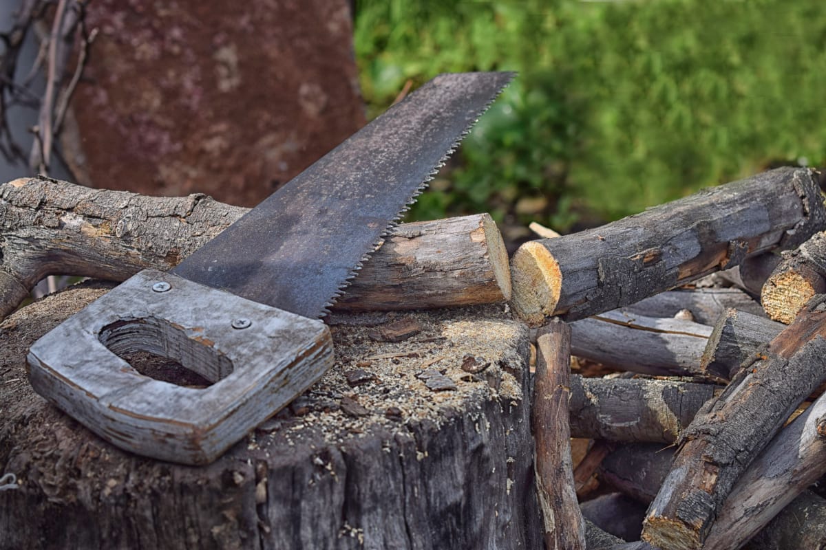 Antique Crosscut Saws Identification & Value (Expert Guide)