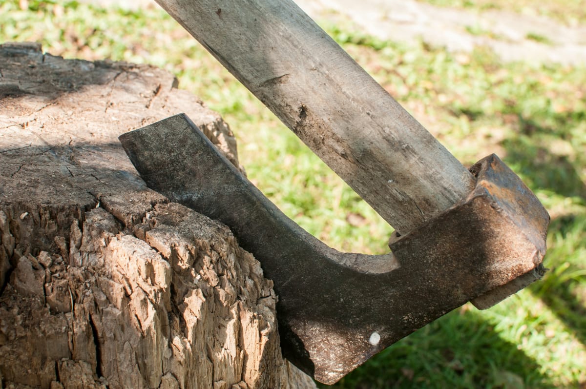 Antique Broad Axes Identification & Value Guide (With Types)