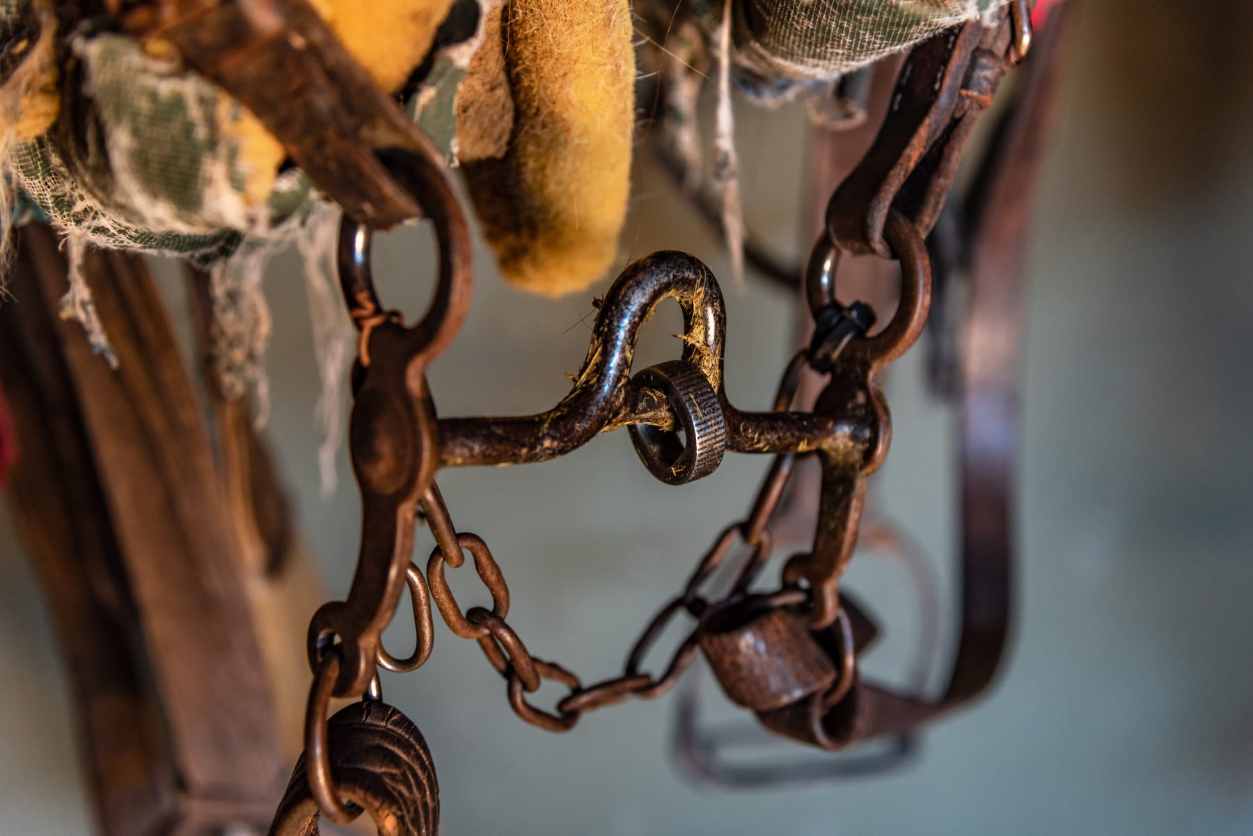 Antique Horse Bits Identification & Values Appraisal Guide