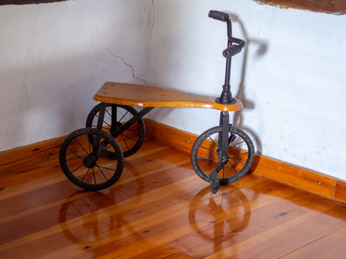 How to Identify & Value Vintage Tricycle (With Rare Models)