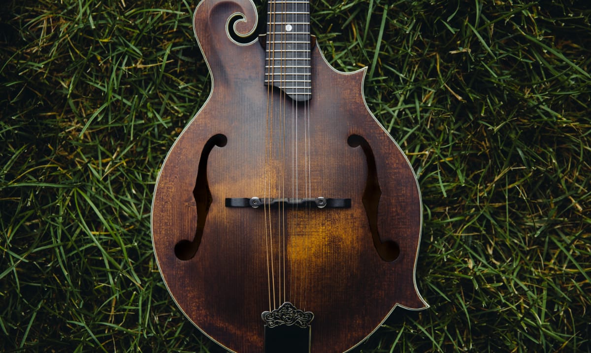 How to Identify & Value Vintage Mandolins Guide)