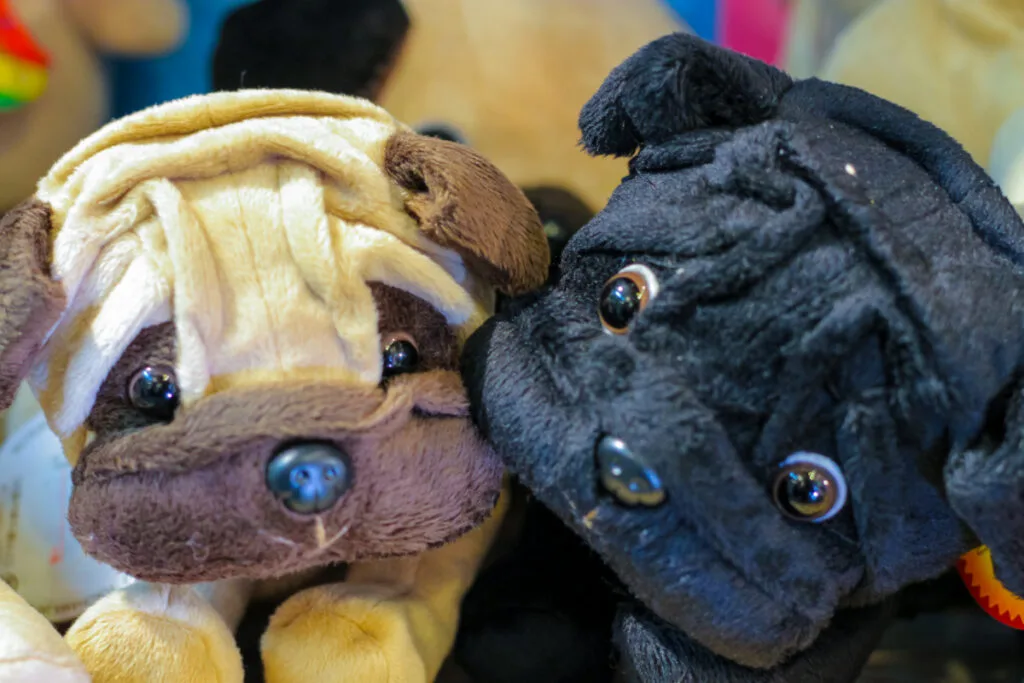 Rarest Dog-shaped Beanie Boos with Button Eyes and Noses