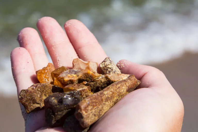 Small and Valuable Amber Stones at the Beach