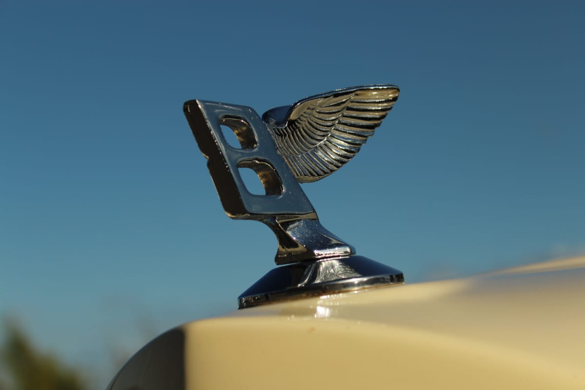 Vintage Hood Ornaments Identification & Value (Expert Guide)