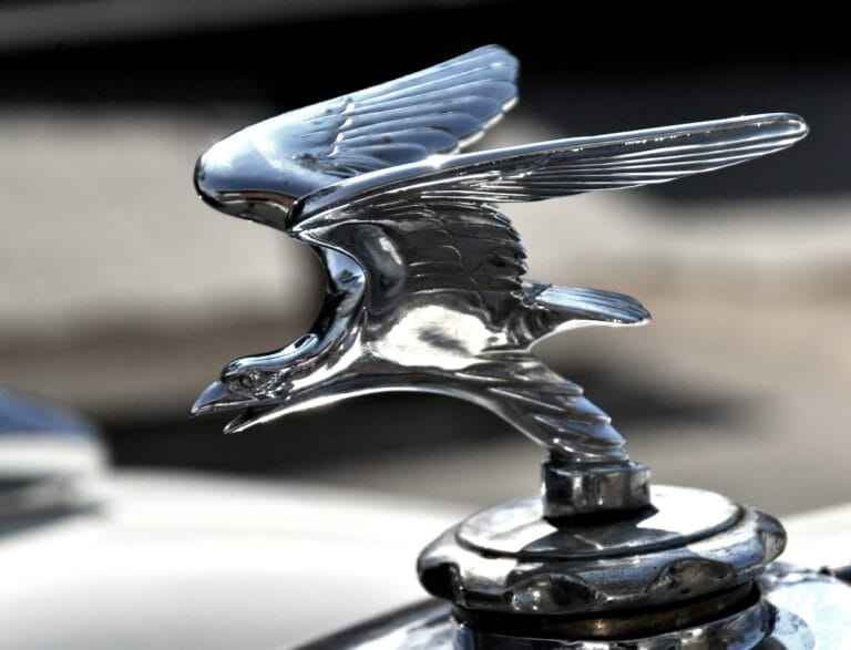 Vintage Hood Ornaments Identification & Value (Expert Guide)