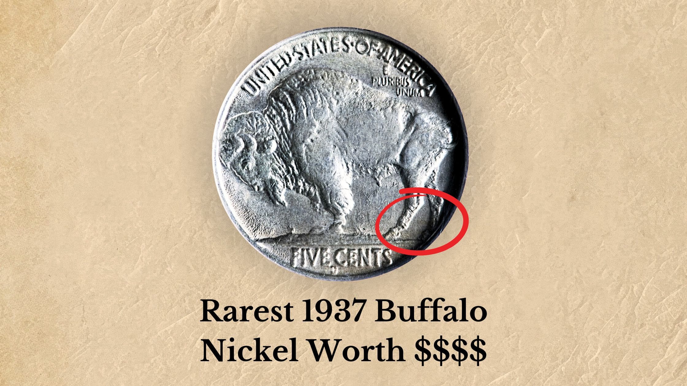 1937 Buffalo Nickel Value (3-Leged Error & Rare Mint Marks)