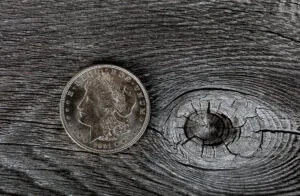 An Old 1921 Silver Dollar