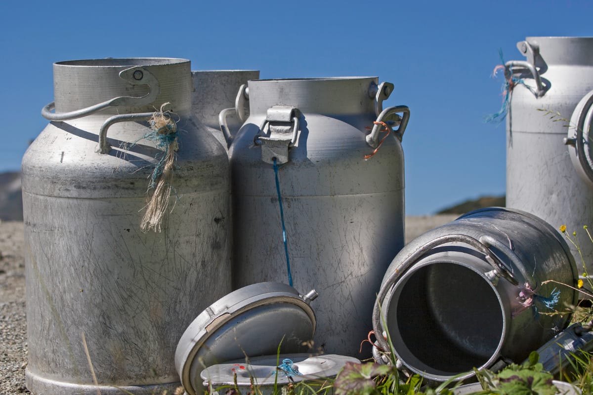 Old Antique Milk Cans Value & Dating Guide (Types & Marks)