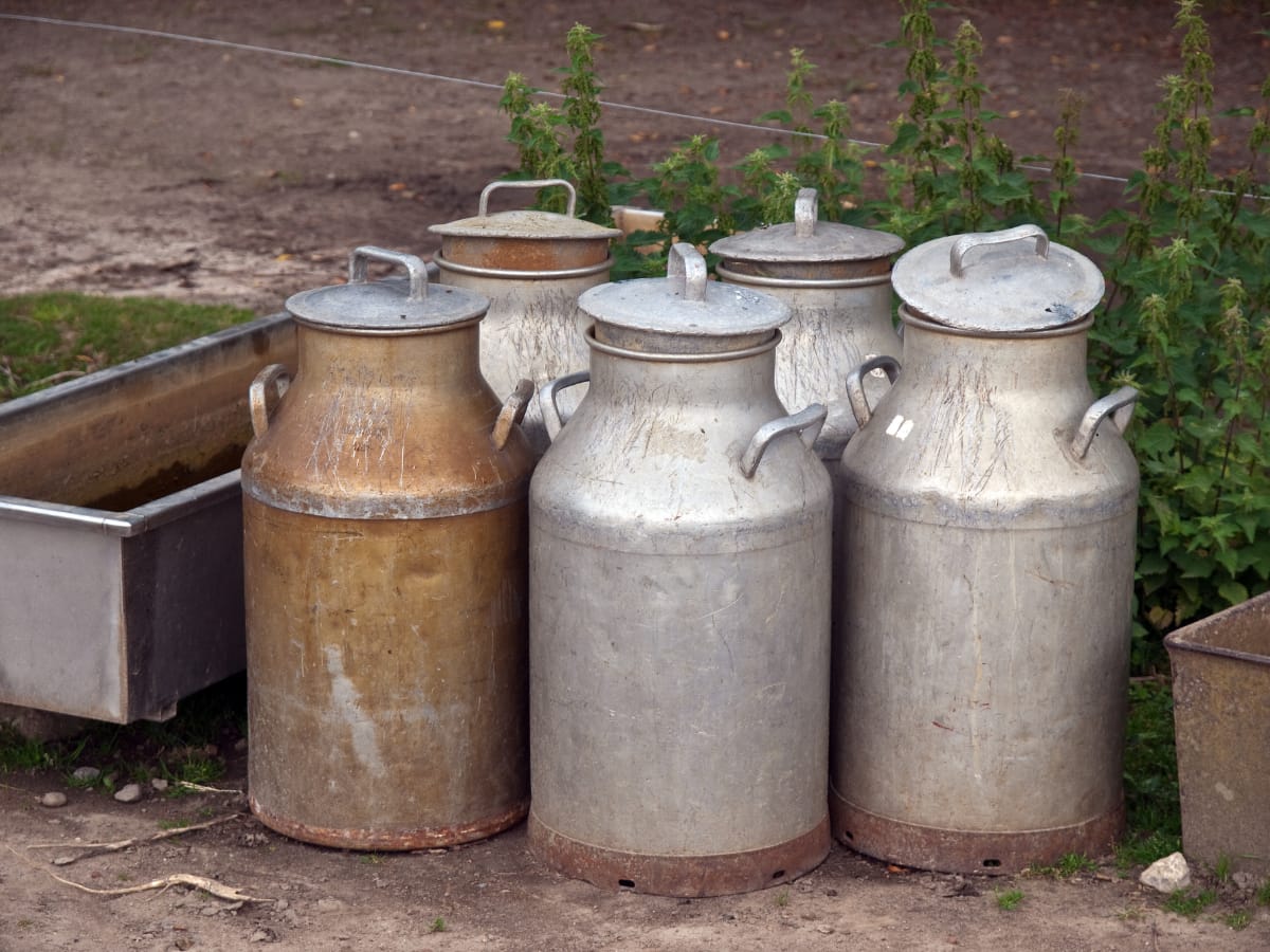 Old Antique Milk Cans Value & Dating Guide (Types & Marks)