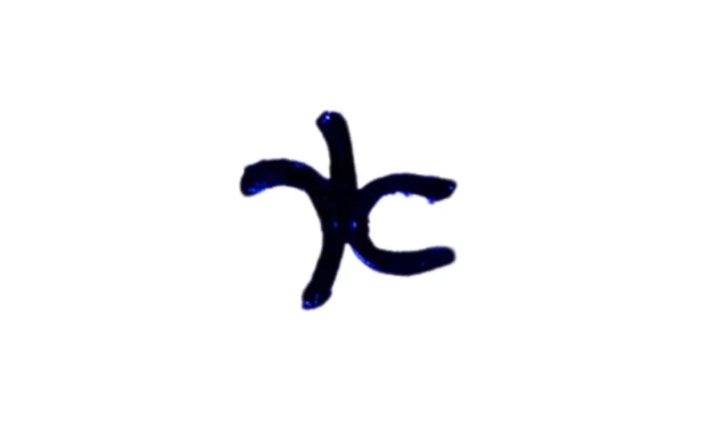 Capodimonte Fleur-De-Lis Mark from 1743 - 1759