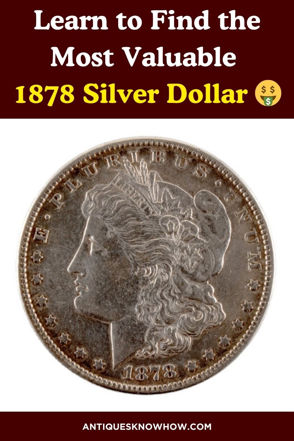 1878 Silver Dollar Value (Errors, VAMs & Mint Marks)