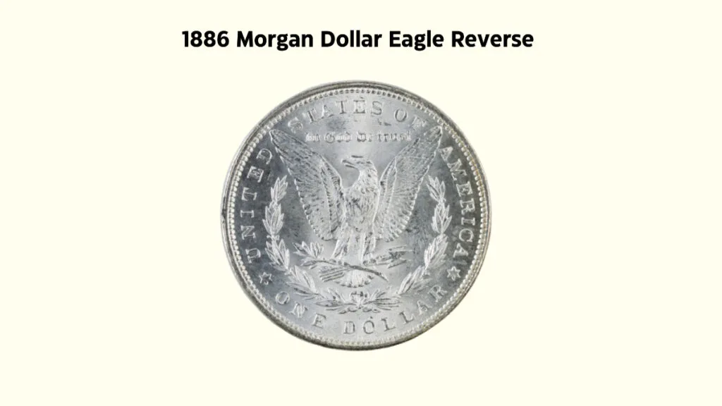 1886 Morgan Dollar Reverse