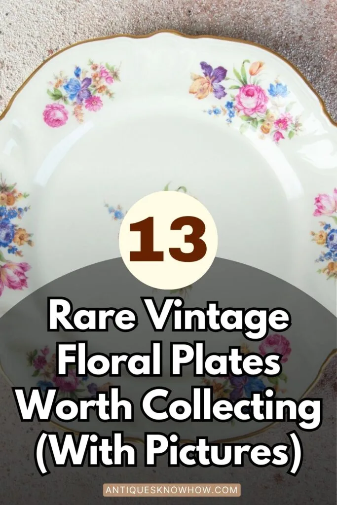 Rare Vintage Floral Plates