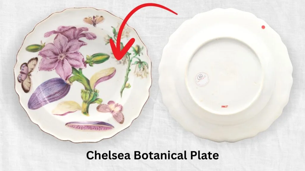 Chelsea Botanical Plate with Flowering Eggplant