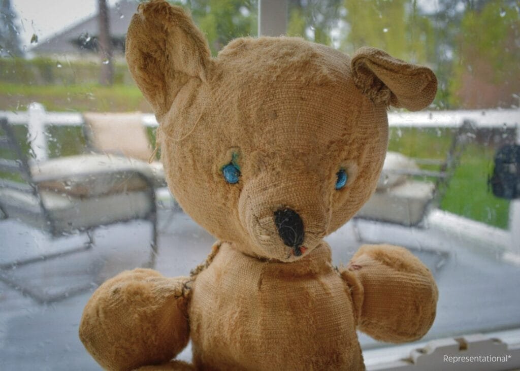 Antique Teddy Bear