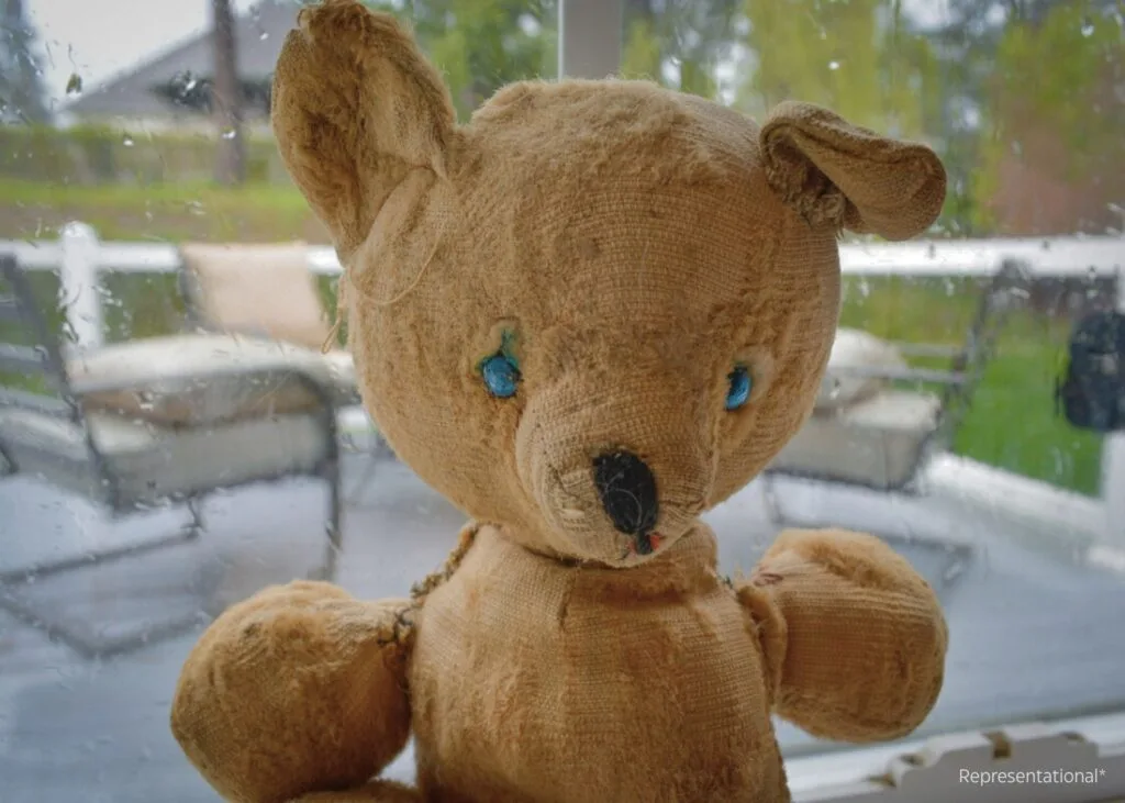 Antique Teddy Bear