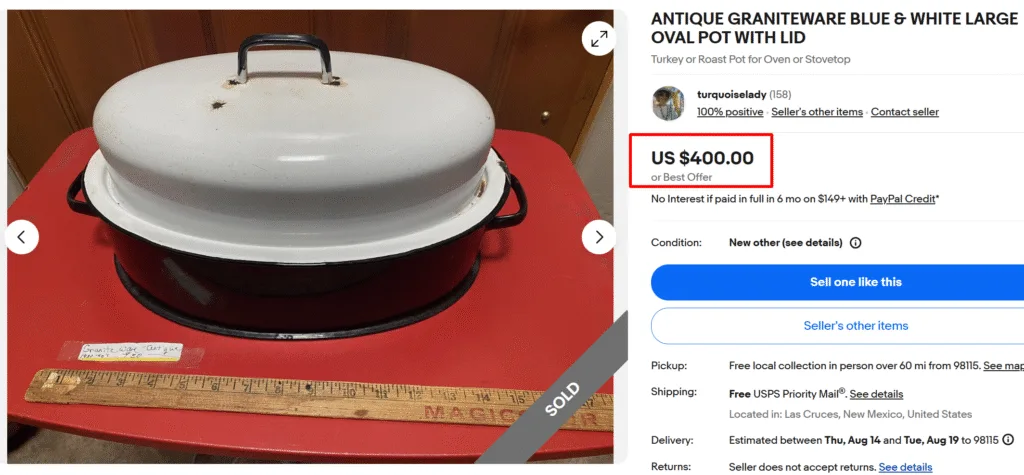 Antique Graniteware Enamel Pot with Lid