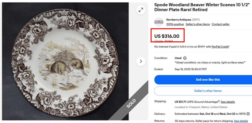 Woodland Beaver Winter Scenes by Spode