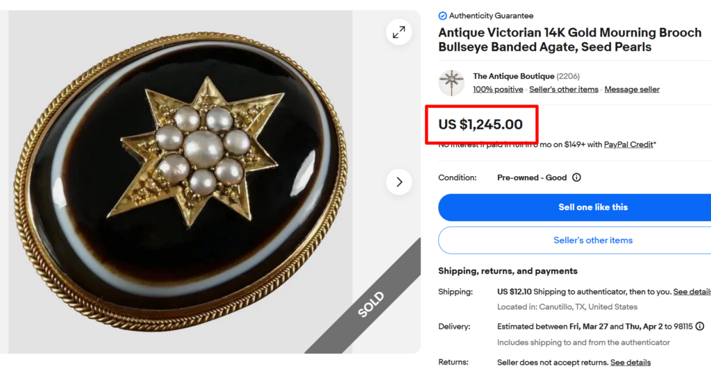 Bullseye Banded Black Agate Mourning Brooch