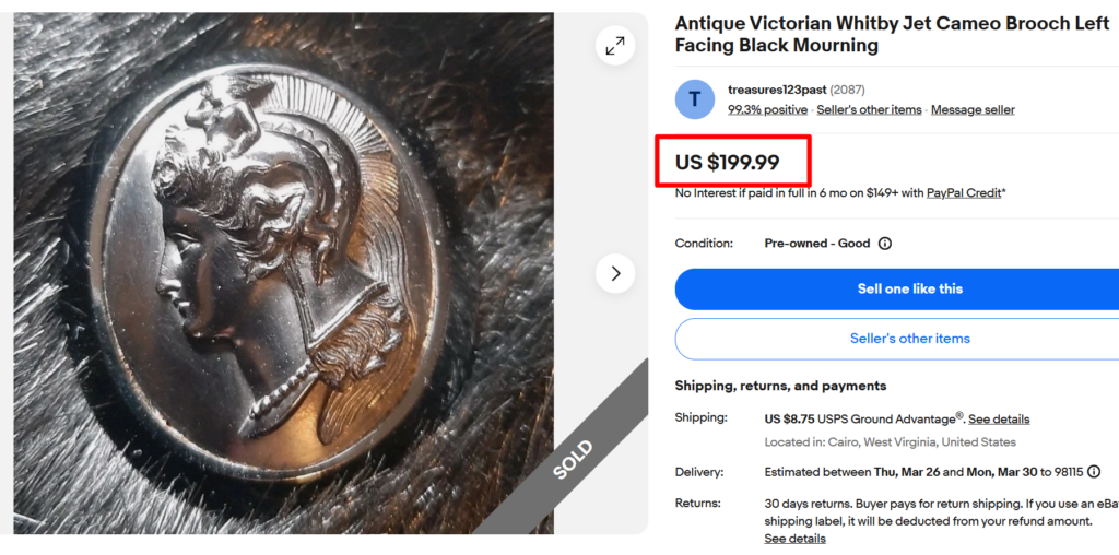 Victorian Whitby Jet Cameo Brooch