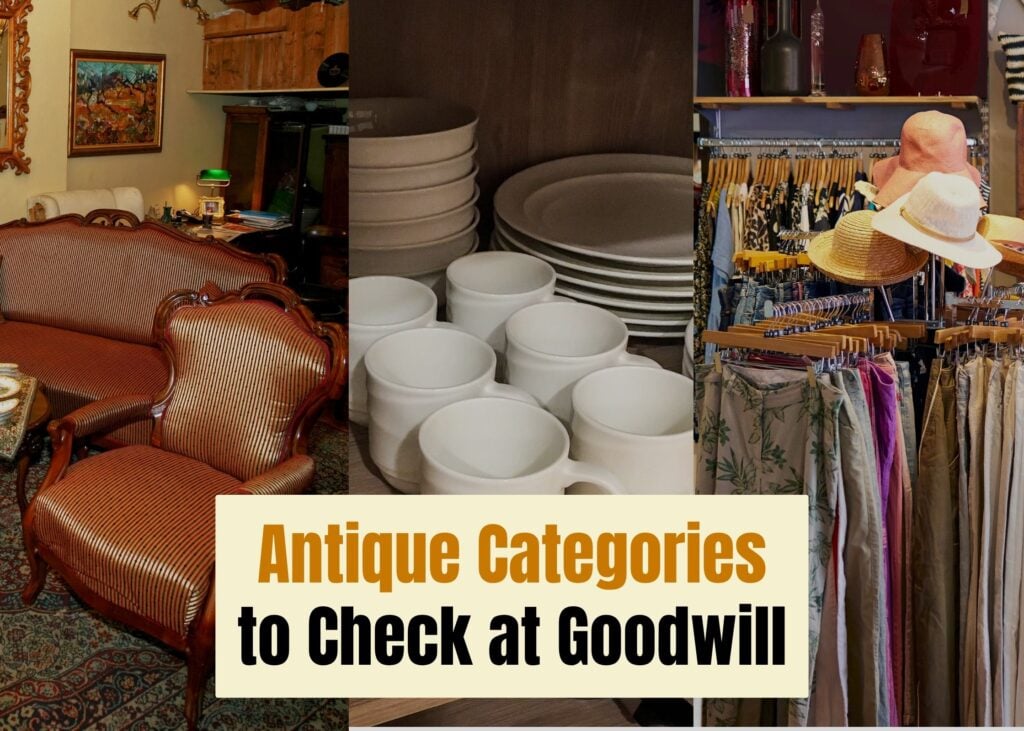 Antique Categories at Goodwill