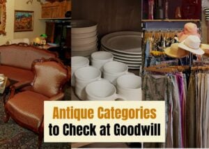 Antique Categories at Goodwill