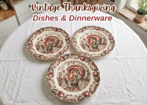 Vintage Thanksgiving Dinnerware