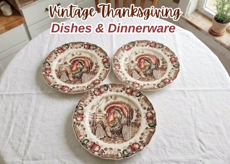 Vintage Thanksgiving Dinnerware