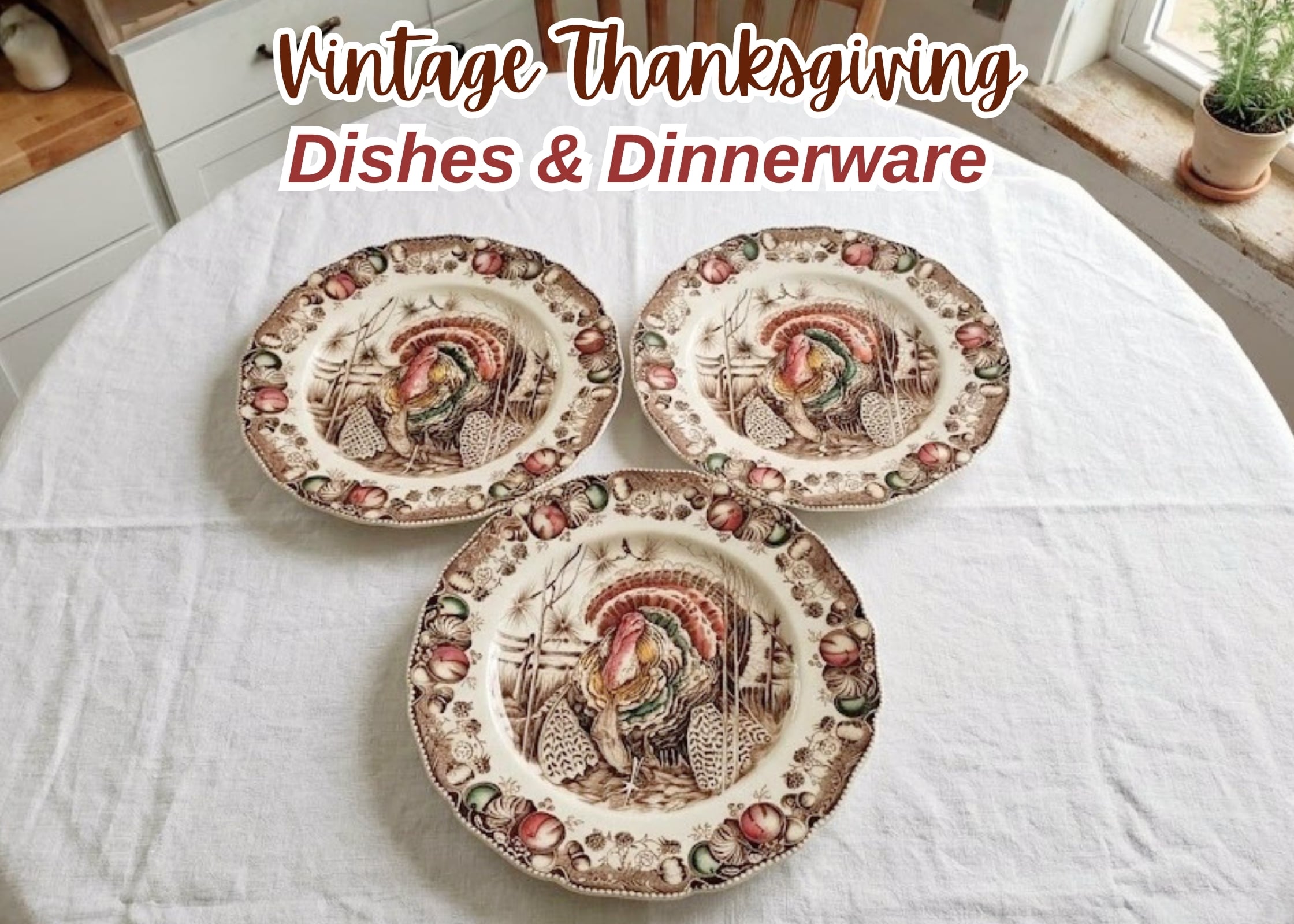 Vintage Thanksgiving Dinnerware